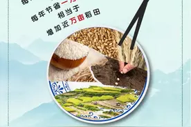 如果14亿人，每人每天节约一粒米……图片