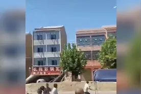 14秒丨河南周口一4层楼房坍塌 当地负责人：邻居建房地基挖得太深