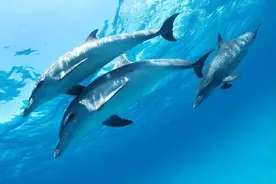 人生海海，懂得转弯是一种智慧图片