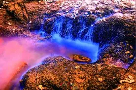 美翻了！海边邂逅梦幻“荧光海”图片