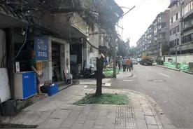 桂花巷为何“砍秃”桂花树？施工单位擅自野蛮砍伐图片