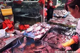 开海一周，鱼虾贝类等海鲜价格走低，总体销售情况差于往年图片