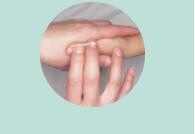 鹿茸可以跟花胶炖汤吗 2026年鹿茸可以跟花胶炖汤吗怎么炖