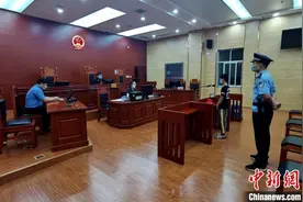 两起“口罩诈骗案”两被告人获刑图片