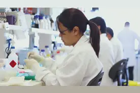 研究：蜜蜂毒液可杀死三阴性乳腺癌细胞视频封面