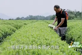 《超级新农人》向观众呈现不同的农业、农村、农人图片
