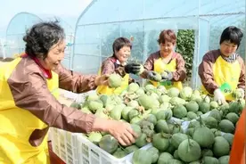 工信部定点帮扶河南省汝阳县脱贫攻坚侧记 | 决战决胜脱贫攻坚图片