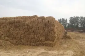 秸秆综合利用 | 请看怀柔如何操作图片