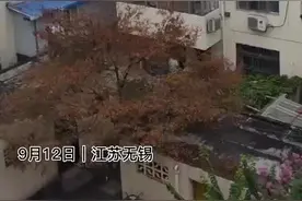 江苏一居民楼起火 两名儿童被困阳台晾衣架上 事发时奶奶外出买菜图片