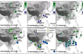你的相貌平平无奇？可能是被地理环境限制了图片