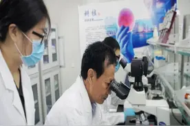 身体被烧伤？青岛这个团队研发的“鱼皮”带来新希望图片