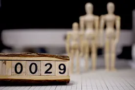 “神秘数字29”背后的公众焦虑图片