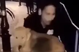 30秒｜印度男子从桥上将流浪狗扔进湖里，警方已展开调查视频封面