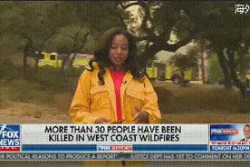 美国女记者正直播，一只熊飞奔而来，结局出人意料！（图）图片