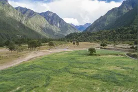 特写：西藏农牧民的“草”算盘图片