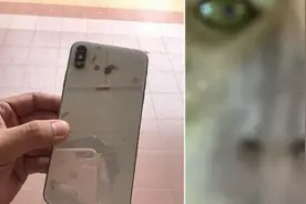 马来西亚一猴子半夜偷手机后“自拍”图片