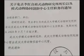 主任没有话语权，整个科室竟然护士长说了算图片