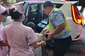 蛇有爪？广东有人被咬伤！此地有超大蟒蛇现身，吃了8只鸡…图片