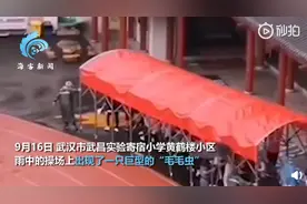 老师用移动雨棚接送学生，活像一只“毛毛虫”网友：可可爱爱图片