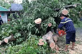 强热带风暴“红霞”在越南中部沿海登陆图片