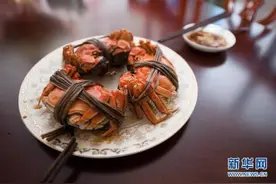大闸蟹又肥啦！死蟹不能吃？母蟹更好？一文说清楚……图片