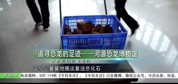 没挖过恐龙蛋，都不好意思说是河源人