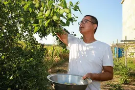 安徽宿州：沈圩村有支“明星”队图片