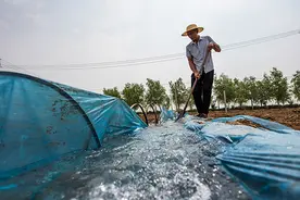 农业农村部：国家将加强粮食生产功能区农田基础设施建设图片