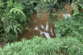 四川高县男子溺亡案后续 官方回复：当晚曾组织镇村干部连夜搜救图片