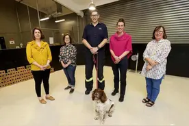 澳大利亚训练嗅探犬检测新冠病毒图片