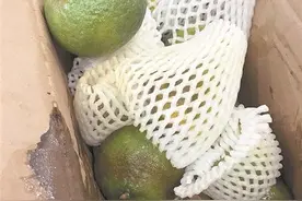 朋友寄来水果 在菜鸟驿站滞留3天后腐烂图片
