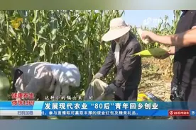 潍坊80后青年回乡创业，流转土地建农场，发展现代农业带村民致富视频封面