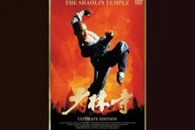 除了《少林寺》，这些在郑州拍的影视作品你看过几部？图片