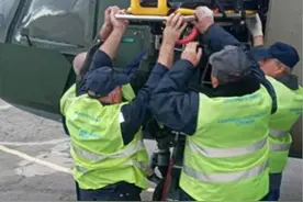 乌克兰两岁男童生日宴会上被德国牧羊犬咬下生殖器，生命垂危图片