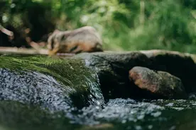 一课译词：饮水思源图片