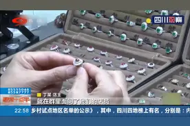 女店员偷盗宝石藏垃圾堆 宝石丢失人被抓图片