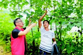 老黄忠 美新娘 夫妻档 贵州省紫云县战贫一线人物记图片