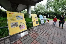 北京动物园上“大招”，随意投喂动物屡劝不改将被禁止入园图片