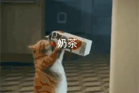 秋天的第一杯奶茶，你喝了吗？图片