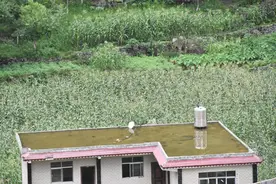 “清零”最后关口，这些战贫一线干部如何拼？图片