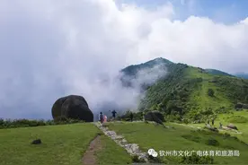 十一旅游攻略|在浦北必打卡的八大景点，安排！图片