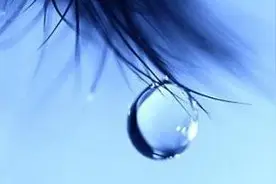 想哭就哭吧！对你身体有好处哦