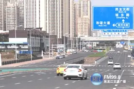 武威路开通！哈西群力间通行更便利 还有一大波通行利好消息图片