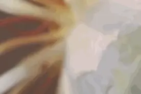 惊艳！7小时延时拍下昙花开花全程