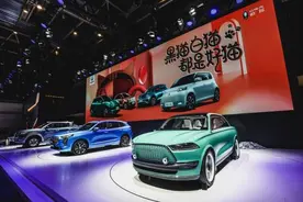 2020北京车展 |大狗、初恋、潮派…长城汽车起名本领又见长了图片