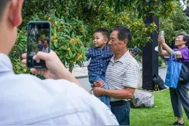 又到桂花飘香时，上海最佳赏桂公园开始永久免费开放图片