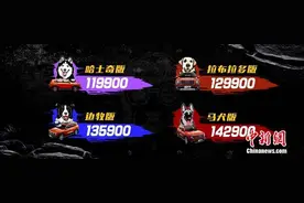 售价11.99-14.29万元 潮玩新旅伴 哈弗大狗正式上市图片