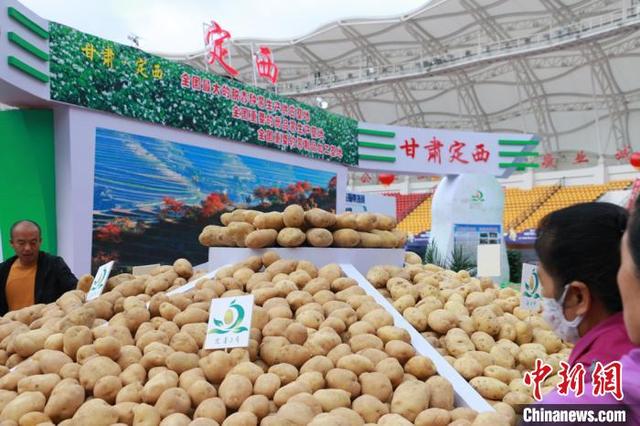 占优化（甘肃优化马铃薯区域布局 总产量居全国第二）