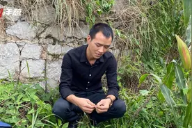 为父追凶17年：9岁男孩被改变的一生图片