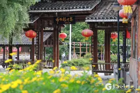 青岩镇龙井村：守着好风景 过上好日子图片